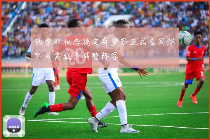 西索科状态稳定有望签正式合同球队或需裁员调整阵容